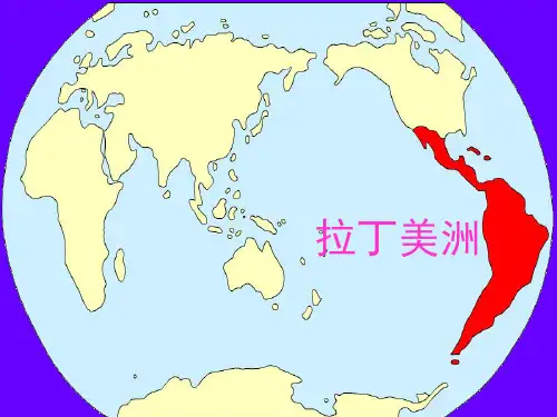 拉丁美洲(含巴西)