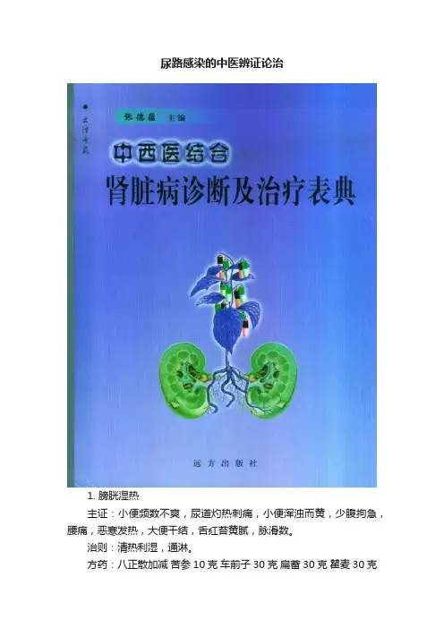 尿路感染的中医辨证论治