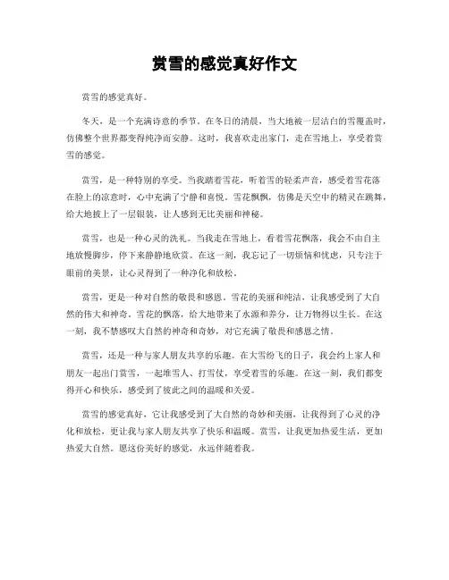 赏雪的感觉真好作文