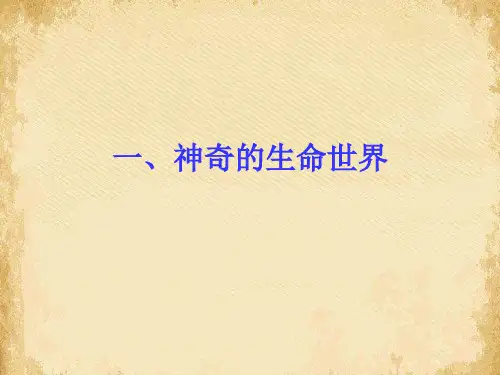 神奇的生命世界ppt优秀课件 人民版