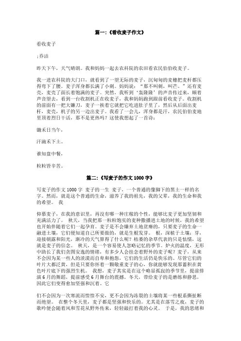 收麦子的作文
