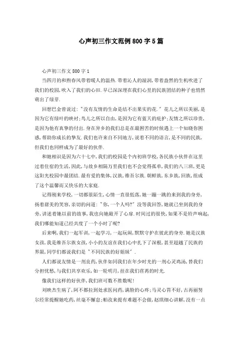 心声初三作文范例800字5篇