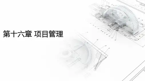 第十六章项目管理