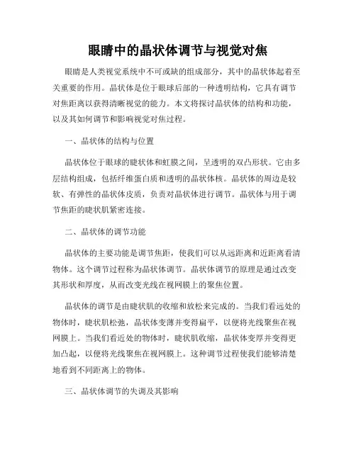 眼睛中的晶状体调节与视觉对焦