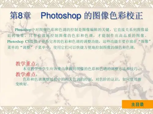 PhotoshopCS中文版10
