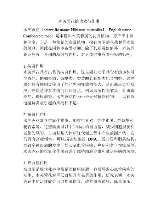 木芙蓉花的功效与作用