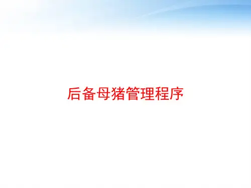 后备母猪管理程序 ppt课件