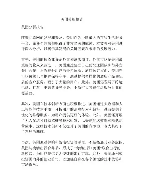 美团分析报告