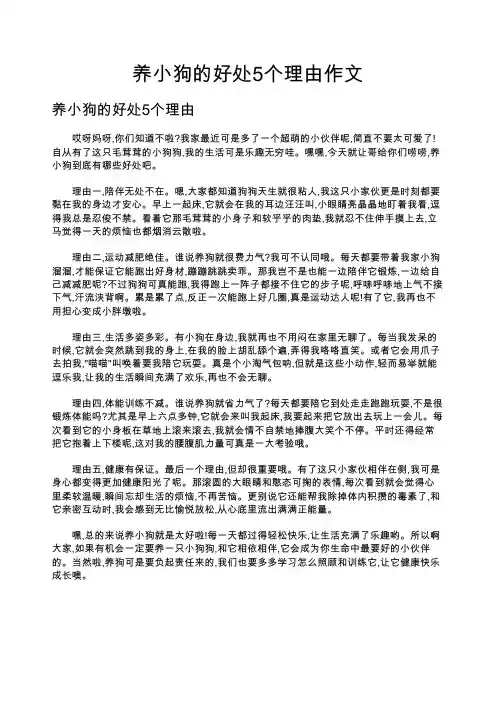 养小狗的好处5个理由作文