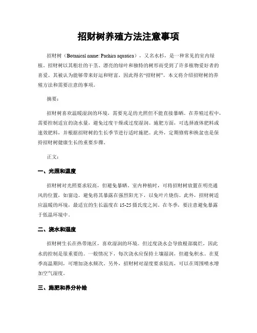 招财树养殖方法注意事项