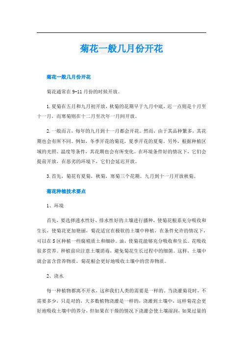 菊花一般几月份开花
