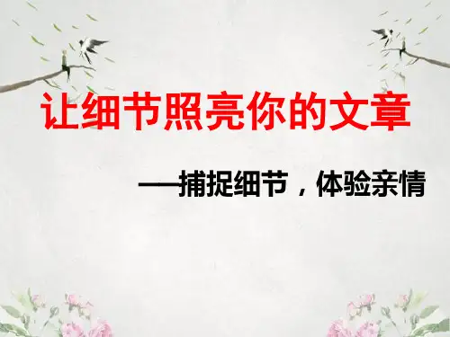 作文-初中作文指导：让细节照亮你的文章——捕捉细节,体验亲情ppt1优秀PPT