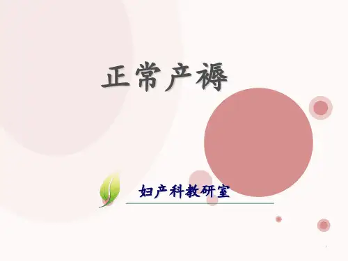 正常产褥【妇产科】  ppt课件