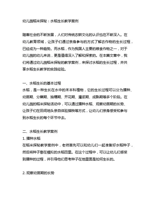 幼儿园稻米探秘：水稻生长教学案例