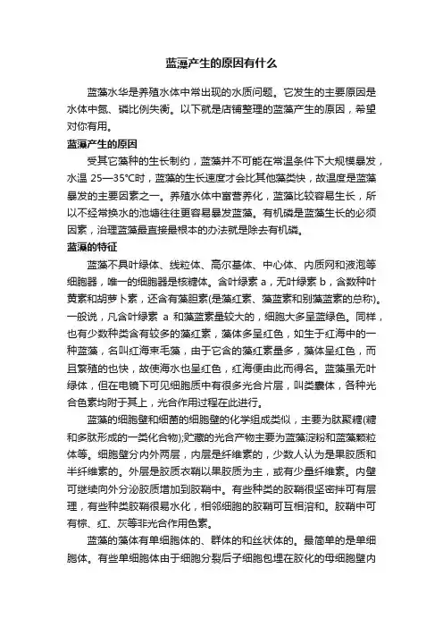蓝藻产生的原因有什么
