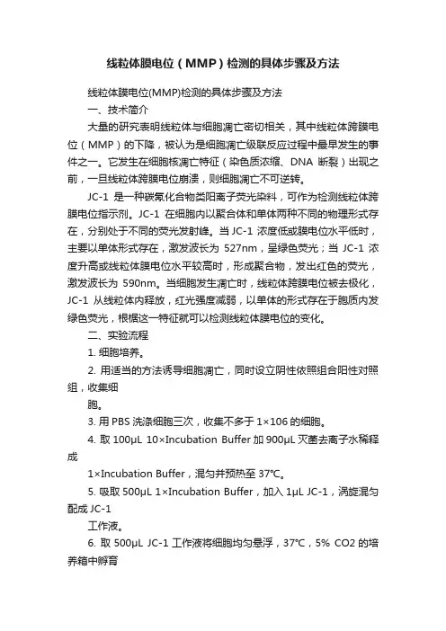 线粒体膜电位（MMP）检测的具体步骤及方法