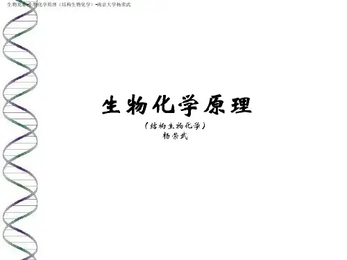 生物竞赛生物化学05核苷酸杨荣武《生物化学原理(一)》(17张PPT)