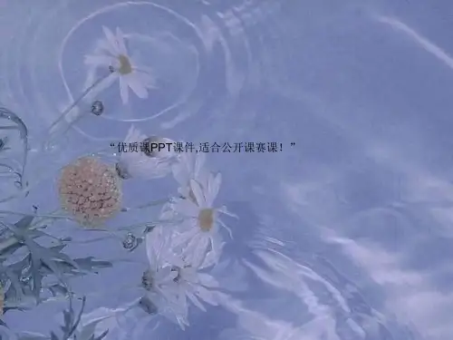 八年级生物下册第七单元第三章第二节生物进化的历程课件2