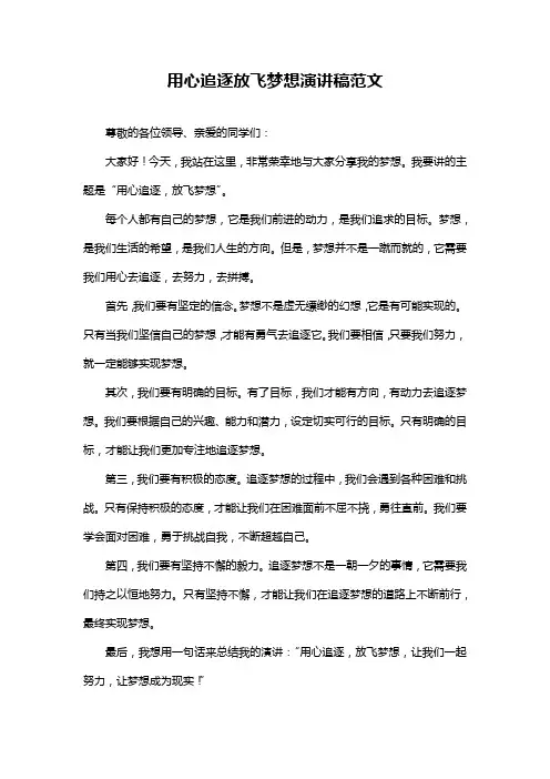 用心追逐放飞梦想演讲稿范文
