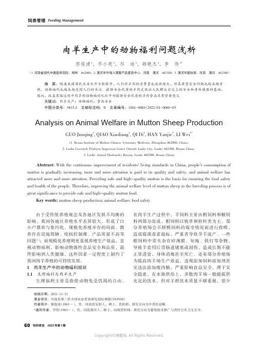 肉羊生产中的动物福利问题浅析