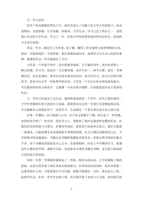 大一学习总结