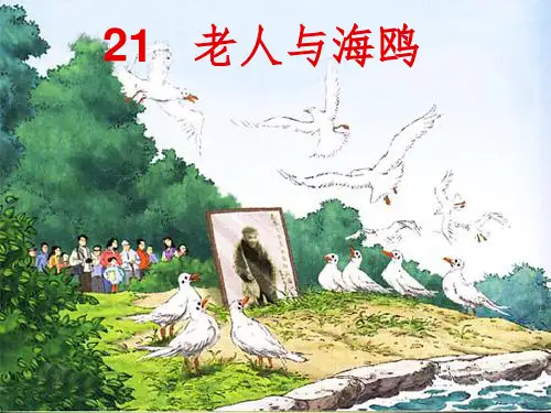 人教版小学语文六年级上册《老人与海鸥》课件PPT