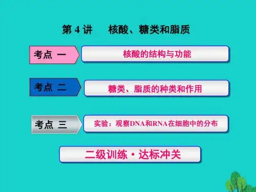 2017版高考生物一轮复习 第一单元 细胞及其分子组成 第4讲 核酸、糖类和脂质课件
