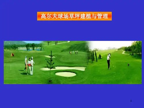 《高尔夫草坪建植》PPT课件