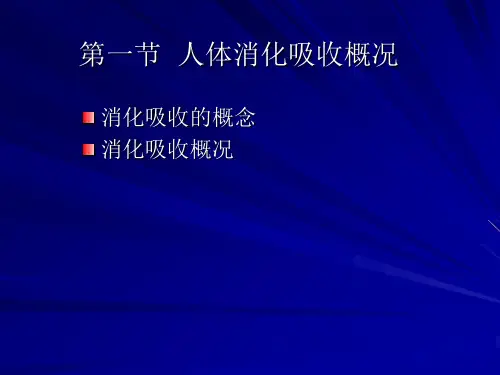人体消化吸收概况