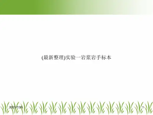 (最新整理)实验一岩浆岩手标本