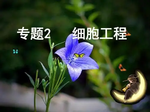 人教版高中生物选修3专题2.1.1植物细胞工程的基本技术(共62张PPT)