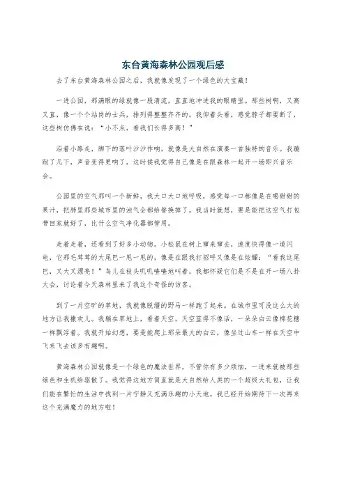 东台黄海森林公园观后感