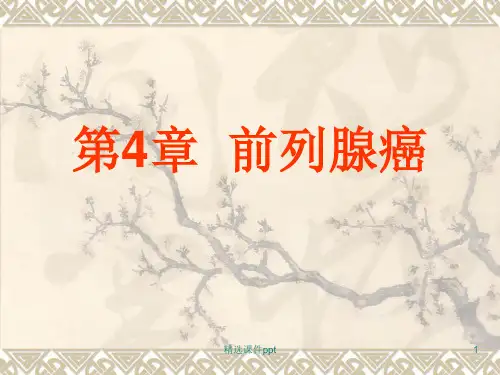 第章前列腺癌ppt课件
