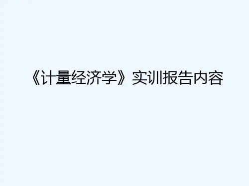《计量经济学》实训报告内容