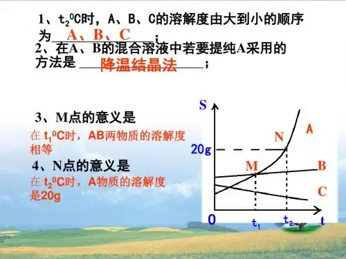 溶液的浓度课件(1、2课时)