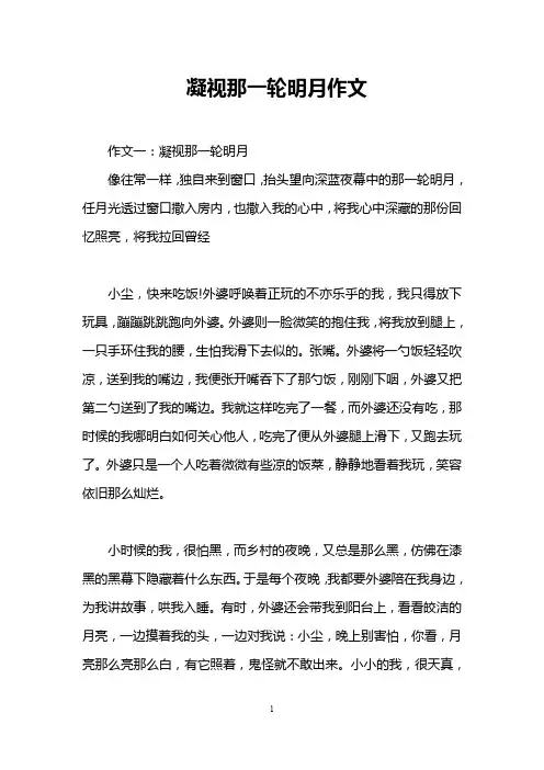 凝视那一轮明月作文