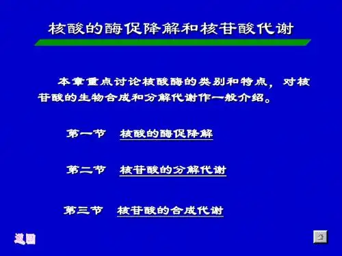 第九章核酸的酶促降解及核苷酸代谢