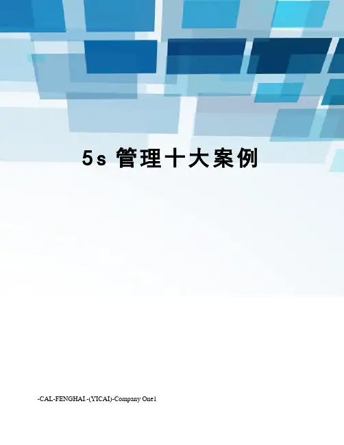 5s管理十大案例
