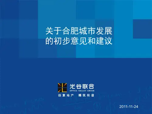 关于合肥城市发展的初步意见和建议