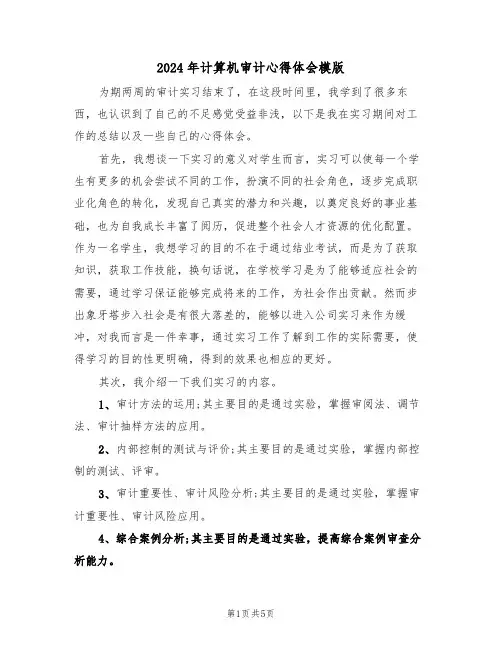 2024年计算机审计心得体会模版(2篇)