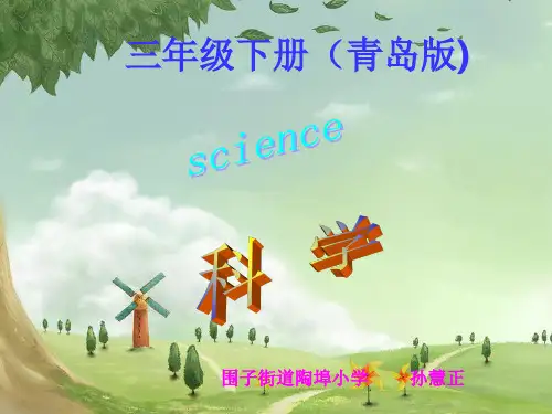 三年级科学说课1 (1)PPT课件