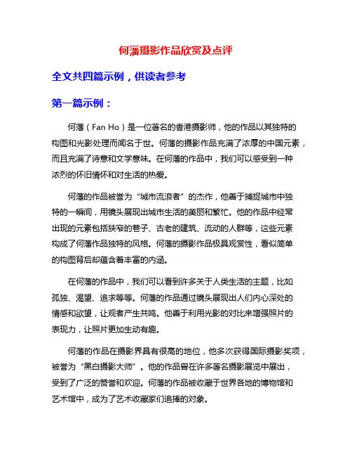 何藩摄影作品欣赏及点评