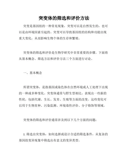 突变体的筛选和评价方法