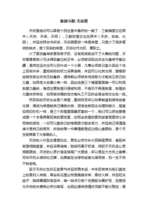 紫微斗数-天府星