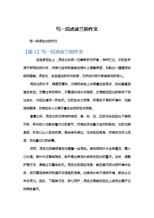 写一段虎皮兰的作文