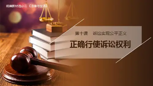 法律与生活10.1正确行使诉讼权利