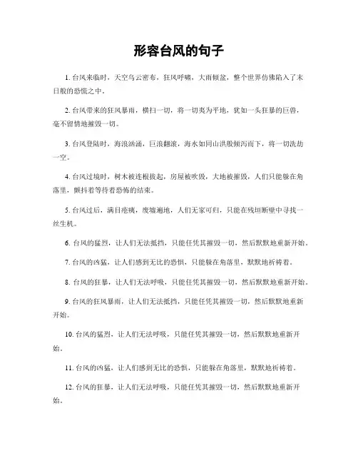 形容台风的句子