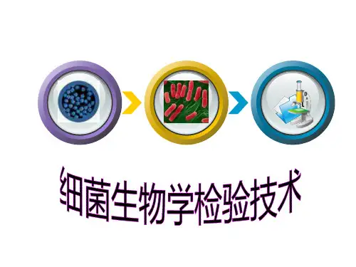 细菌生物学检验基本技术