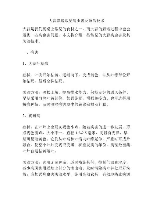 大蒜栽培常见病虫害及防治技术