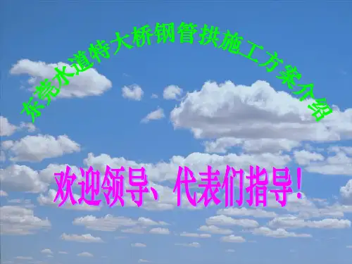 东莞水道特大桥方案演示
